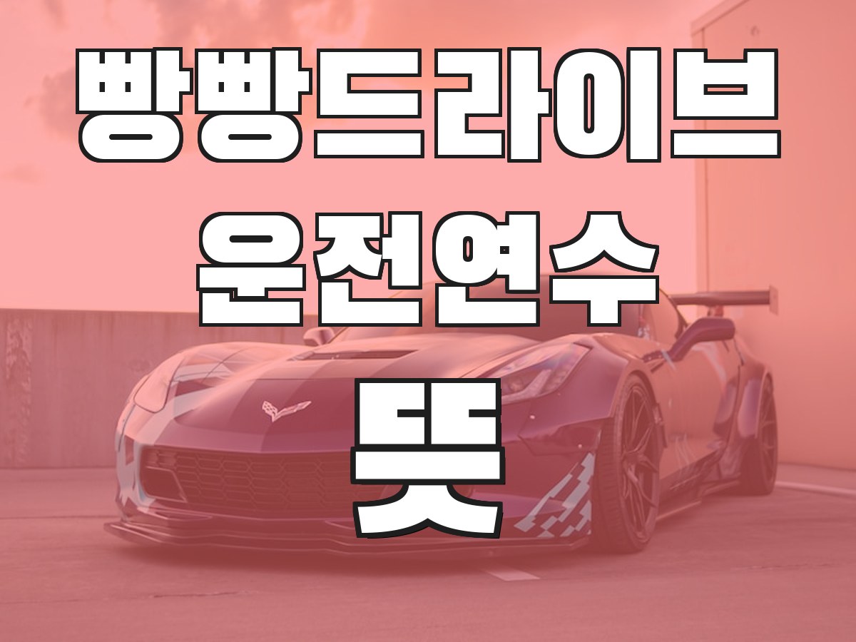 빵빵드라이브 운전연수 뜻 - 운전연수의 의미와 필요성